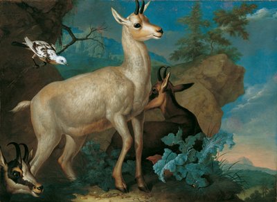 Üç Dağ Keçisi ve Bir Karatavuk by Ferdinand Phillip de Hamilton