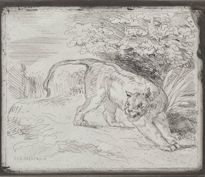 Tuzağa Düşen Kaplan, 1854. by Ferdinand Victor Eugene Delacroix