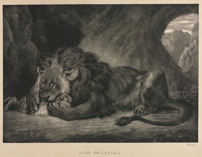 Atlas Aslanı, 1829. by Ferdinand Victor Eugene Delacroix