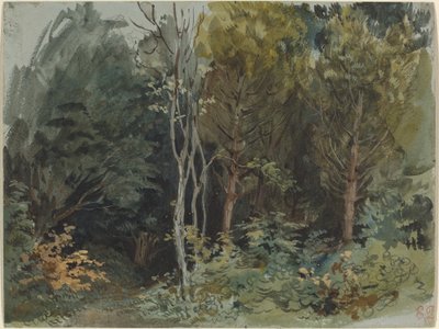 Nohant'ta Ormanın Kenarı , c. 1842-1843 (suluboya) by Ferdinand Victor Eugene Delacroix