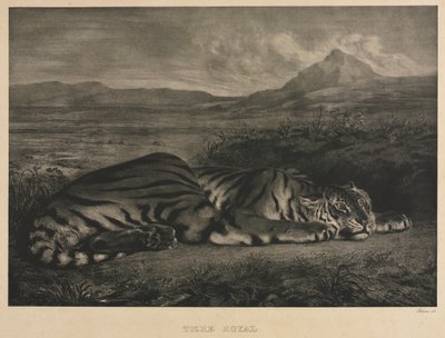Kraliyet Kaplanı, 1829. by Ferdinand Victor Eugene Delacroix