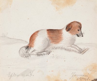 by Ferdinand von Wright
