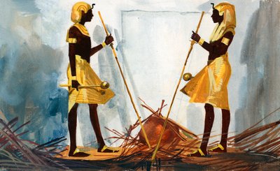  by Ferdinando Tacconi