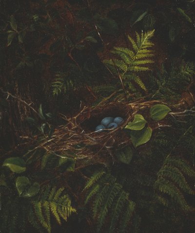 Kuş Yuvası ve Eğrelti Otları, 1863. by Fidelia Bridges