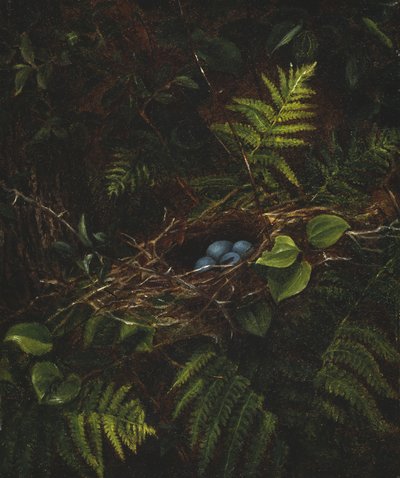 Kuş Yuvası ve Eğrelti Otları, 1863 by Fidelia Bridges