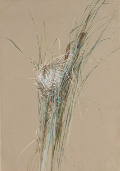 Kuş Kuyruklarında Kuş Yuvası, ca. 1875. by Fidelia Bridges