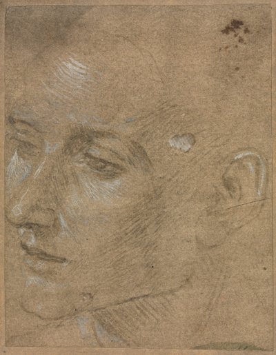 Bir Genç Adamın Başı, 1400