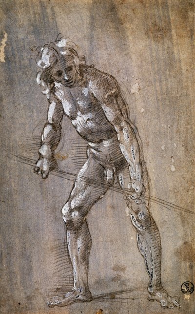 erkek figürü by Filippino Lippi