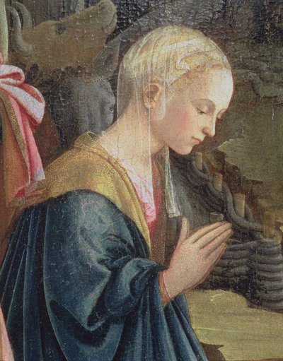Doğuş, Madonna