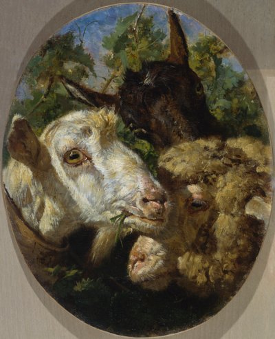 hayvanların başları by Filippo Palizzi