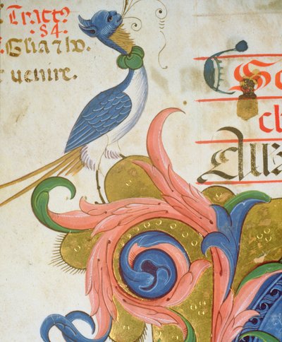 Missal 515 f.28v Tarihe geçmiş bir baş harfinin köşesinde insan başlı fantastik kuş, 1449