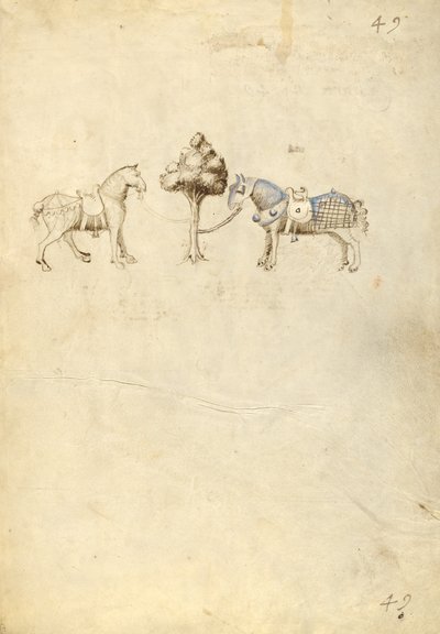  by Fiore Furlan dei Liberi da Premariacco