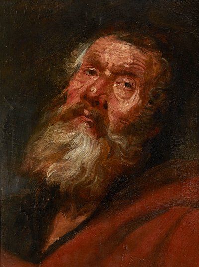 Bir Havarinin Baş Krokisi (tuvale serilmiş kağıt üzerine yağlı boya, meşe panele serilmiş) by Flemish School