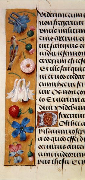Ms. 1058-1975, f.22v: Saatler Kitabı
