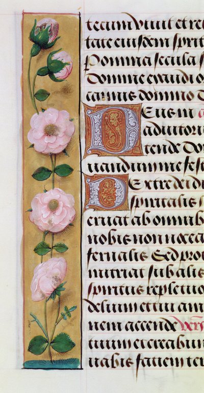 Ms. 1058-1975, f.34v: Saatler Kitabı