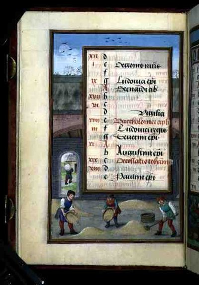 Ms 1058-1975 f8v Ahırda Mısır Kazanmak, Saatler Kitabından Ağustos ayı için ışıklı takvim sayfası, c.1500 (parşömen) by Flemish School
