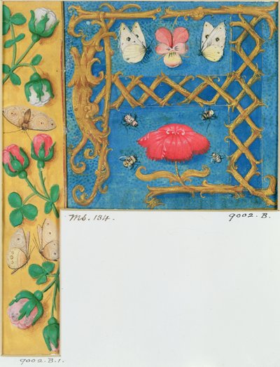 Ms 134 Işıklı A harfi ve çiçeklerin yan kenarı, bir Saatler Kitabından, c.1500 by Flemish School