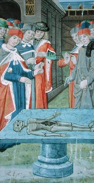 Ms Hunter 9 f.12v Diseksiyon, 