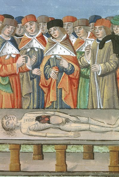 Ms Hunter 9 f.36r Diseksiyon, De Medina Fen I. II