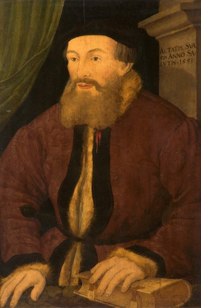 Bir Adamın Portresi, 1551 by Flemish School