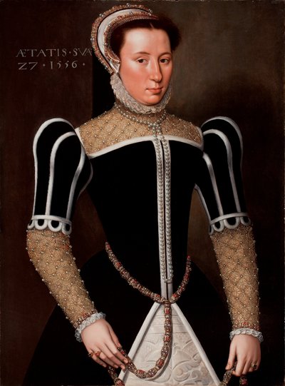 Bir Kadının Portresi, 1556 by Flemish School
