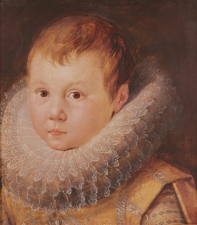bir çocuk portresi by Flemish School