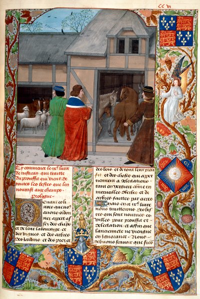 Royal 14 E. VI, f.215, 