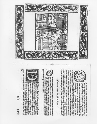 Bir çiçek hastalığı kurbanı olan hasta, Paracelsus (1493-1541) pub