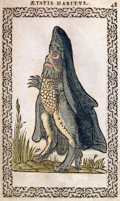 Deniz Piskoposu veya deniz canavarı, Jean Sluperji, Anvers, 1572 (renkli gravür) tarafından hazırlanan Neredeyse Tüm Milletlerin ve Çağdaş Milletlerin Alışkanlıkları ve Portreleri