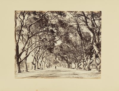  by Félix Bonfils