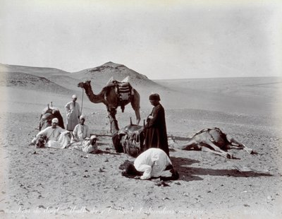 Çölde bir duraklama sırasında Mısırlı deveciler. Ön planda, küçük grubun iki üyesi dua ediyor gibi görünüyor. by Félix Bonfils