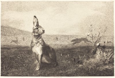 tavşan by Félix Bracquemond after Albert de Balleroy