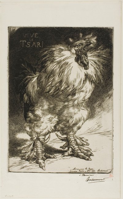  by Félix Henri Bracquemond