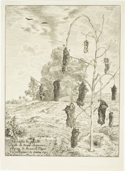  by Félix Henri Bracquemond