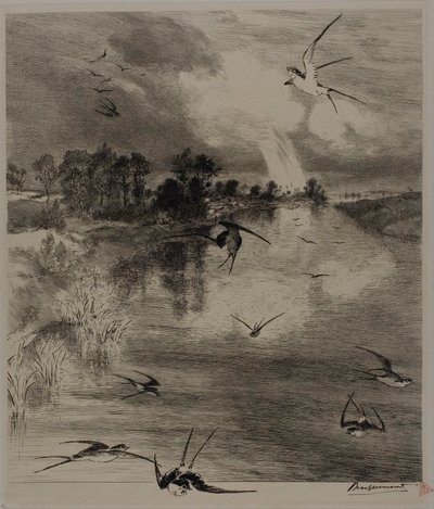  by Félix Henri Bracquemond