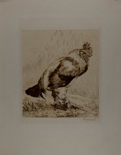  by Félix Henri Bracquemond