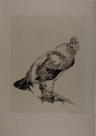  by Félix Henri Bracquemond