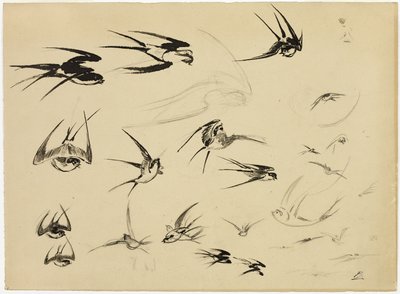  by Félix Henri Bracquemond