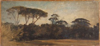  by Félix Ziem