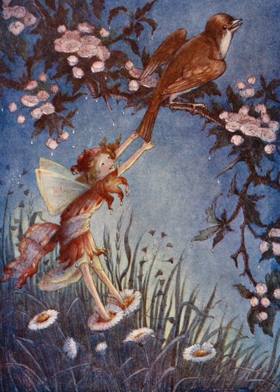  by Flora White
