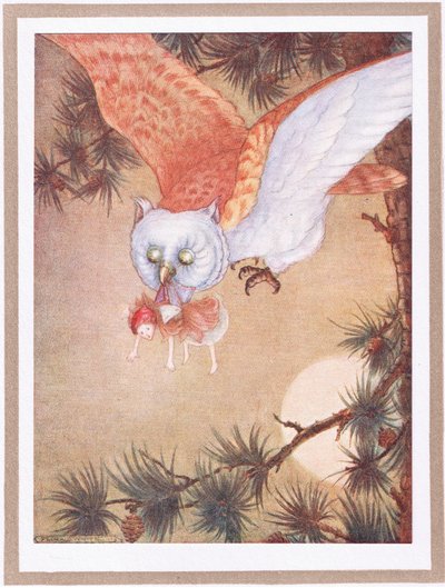  by Flora White