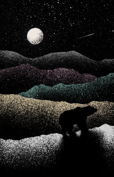 gezgin ayı, 2019 (dijital) by Florent Bodart