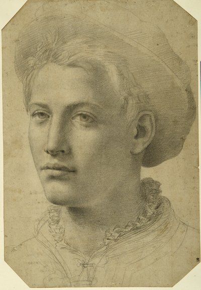 Şapka takan bir gencin portre başı, c.1530-40 (beyaz kağıt üzerine siyah tebeşir) by Florentine School