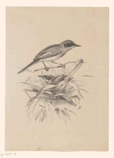 Bir dalda iki küçük kuş by Floris Verster