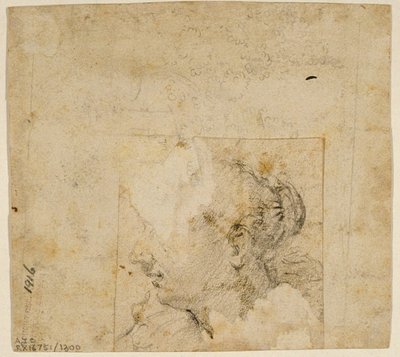 Soldaki Profilde Kadın Başı; Ağaçların ve Binanın Kroki by Follower of Jacopo Bassano