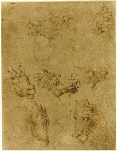 Atların ve Tekboynuzların Başları by Follower of Leonardo da Vinci