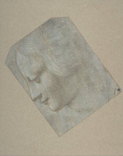 Sola Bakan Profildeki Kadın Başı, 1490-1500. by Follower of Leonardo da Vinci.