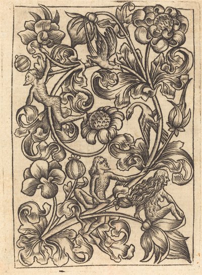 Yabani Halk ile Süsleme by Follower of Master E.S.