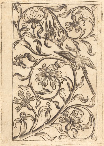 İki Kuşlu Asma Süsleme by Follower of Master of the Playing Cards