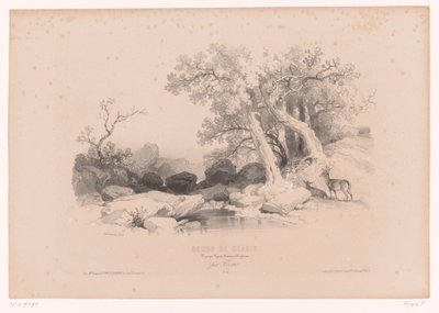 Su ve iki geyik ile kaya manzara Peyzaj, hayvan ve detay çalışmaları içeren çizim kursu (seri başlığı) Tasarım kursu. Paysages, rakamlar, animaux, aksesuarlar, par Férogio (nesne üzerinde seri başlığı) by Fortuné Ferogio